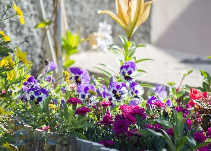 Reis Sao Goncalo Villa *