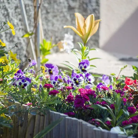 Reis Sao Goncalo Villa *