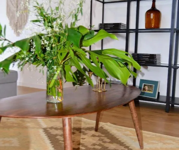 Reis Sao Goncalo 别墅